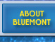 About Bluemont
